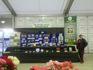 The Daffodil Society Stand at Harrogate